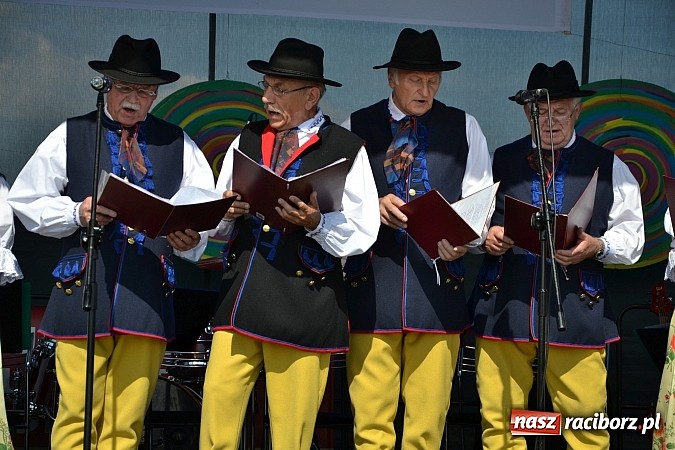 Zdjęcie w galerii na portalu naszraciborz.pl: Zamkowy PIT wziął udział w I Subregionalnym Festiwalu Rodzin Aktywnych w Gorzycach  wiadomości z regionu