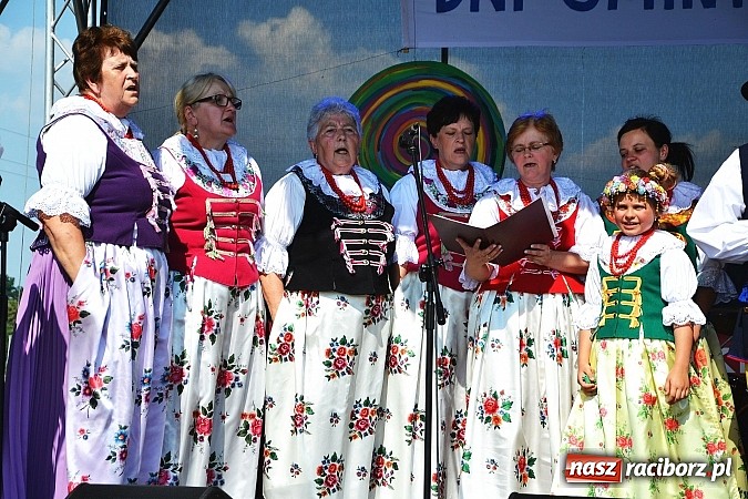 Zdjęcie w galerii na portalu naszraciborz.pl: Zamkowy PIT wziął udział w I Subregionalnym Festiwalu Rodzin Aktywnych w Gorzycach  wiadomości z regionu