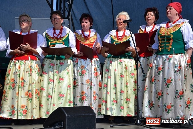 Zdjęcie w galerii na portalu naszraciborz.pl: Zamkowy PIT wziął udział w I Subregionalnym Festiwalu Rodzin Aktywnych w Gorzycach  wiadomości z regionu