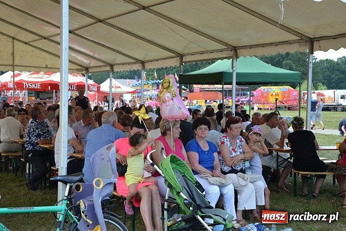 Zdjęcie w galerii na portalu naszraciborz.pl: Zamkowy PIT wziął udział w I Subregionalnym Festiwalu Rodzin Aktywnych w Gorzycach  wiadomości z regionu