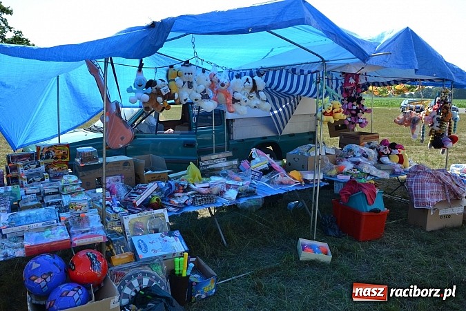 Zdjęcie w galerii na portalu naszraciborz.pl: Zamkowy PIT wziął udział w I Subregionalnym Festiwalu Rodzin Aktywnych w Gorzycach  wiadomości z regionu