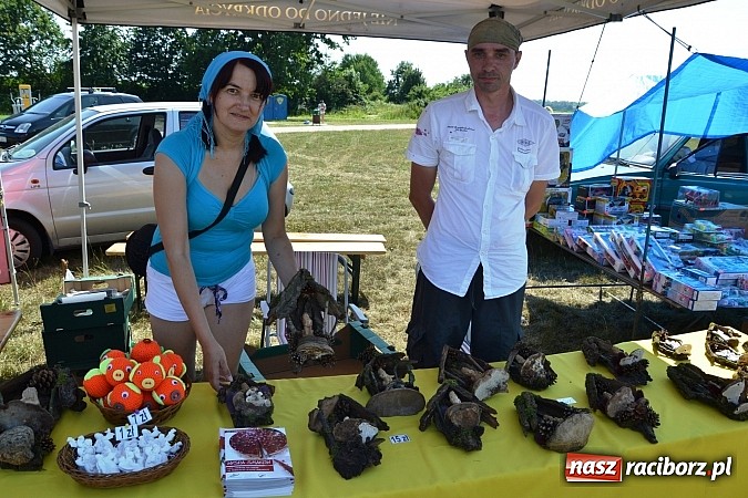 Zdjęcie w galerii na portalu naszraciborz.pl: Zamkowy PIT wziął udział w I Subregionalnym Festiwalu Rodzin Aktywnych w Gorzycach  wiadomości z regionu