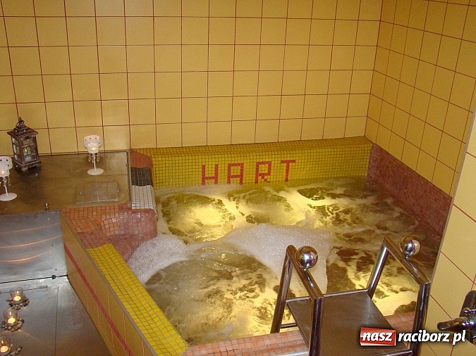 Zdjęcie w galerii na portalu naszraciborz.pl: Zrelaksuj się i zadbaj o siebie z Centrum Odnowy Biologicznej i Fitnessu Hart - jedynym takim miejscu w mieście! wiadomości z regionu