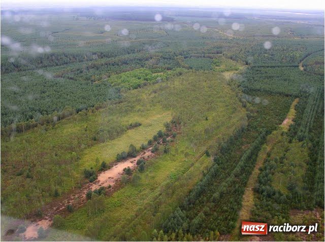 Zdjęcie w galerii na portalu naszraciborz.pl: Poseł Siedlaczek i jego przyjaciele wiadomości z regionu