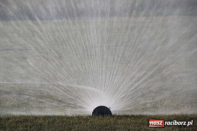Zdjęcie w galerii na portalu naszraciborz.pl: Atrakcje i zabawa na festynie w Kornowacu  wiadomości z regionu