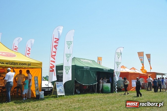 Zdjęcie w galerii na portalu naszraciborz.pl: Dzień Buraka Cukrowego w Ciężkowicach z udziałem firmy Elda wiadomości z regionu