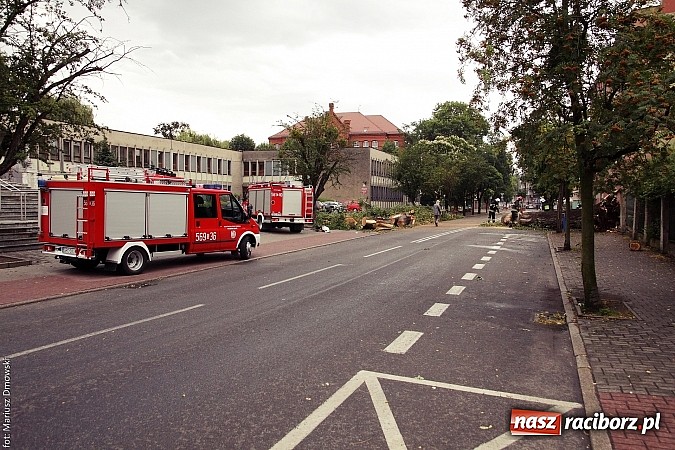 Zdjęcie w galerii na portalu naszraciborz.pl: Powalone drzewa, przerwy w dostawie prądu - skutki nawałnicy wiadomości z regionu
