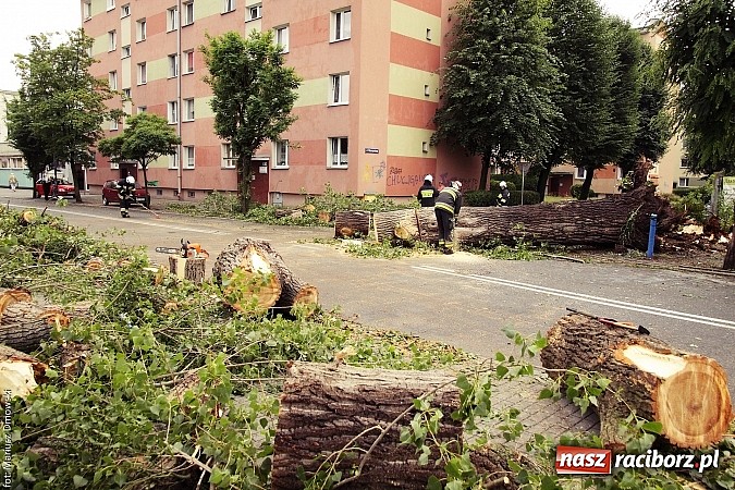 Zdjęcie w galerii na portalu naszraciborz.pl: Powalone drzewa, przerwy w dostawie prądu - skutki nawałnicy wiadomości z regionu