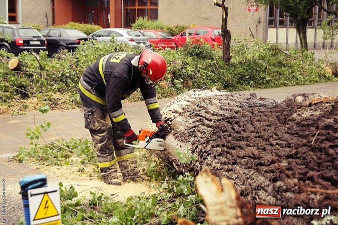 Zdjęcie w galerii na portalu naszraciborz.pl: Powalone drzewa, przerwy w dostawie prądu - skutki nawałnicy wiadomości z regionu