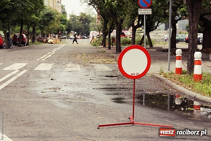 Zdjęcie w galerii na portalu naszraciborz.pl: Powalone drzewa, przerwy w dostawie prądu - skutki nawałnicy wiadomości z regionu