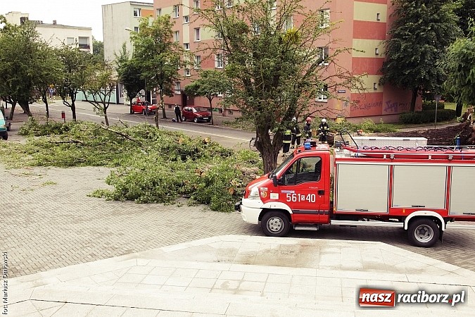 Zdjęcie w galerii na portalu naszraciborz.pl: Powalone drzewa, przerwy w dostawie prądu - skutki nawałnicy wiadomości z regionu
