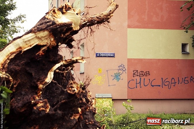 Zdjęcie w galerii na portalu naszraciborz.pl: Powalone drzewa, przerwy w dostawie prądu - skutki nawałnicy wiadomości z regionu