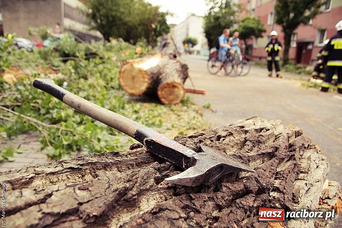 Zdjęcie w galerii na portalu naszraciborz.pl: Powalone drzewa, przerwy w dostawie prądu - skutki nawałnicy wiadomości z regionu