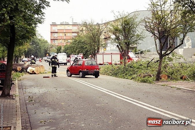 Zdjęcie w galerii na portalu naszraciborz.pl: Powalone drzewa, przerwy w dostawie prądu - skutki nawałnicy wiadomości z regionu
