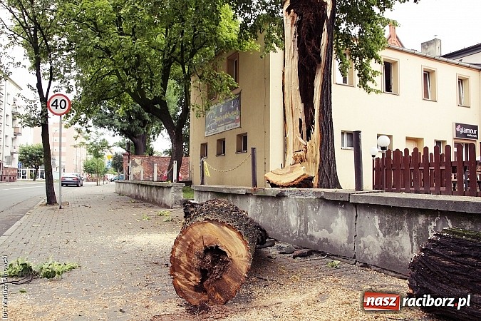 Zdjęcie w galerii na portalu naszraciborz.pl: Powalone drzewa, przerwy w dostawie prądu - skutki nawałnicy wiadomości z regionu