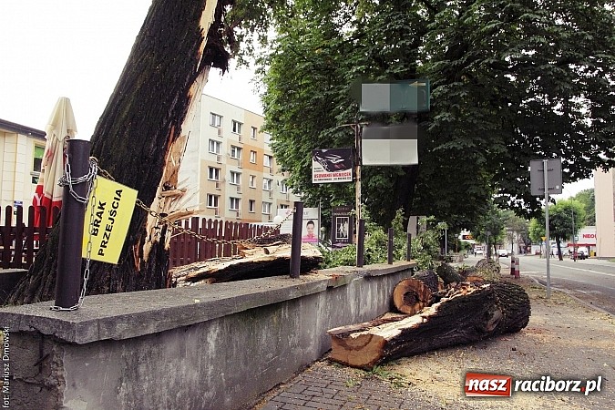 Zdjęcie w galerii na portalu naszraciborz.pl: Powalone drzewa, przerwy w dostawie prądu - skutki nawałnicy wiadomości z regionu