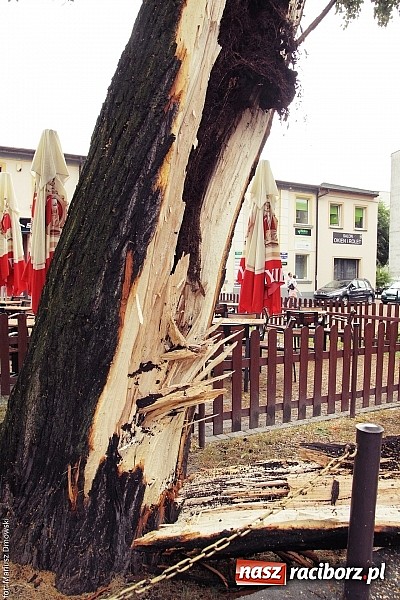 Zdjęcie w galerii na portalu naszraciborz.pl: Powalone drzewa, przerwy w dostawie prądu - skutki nawałnicy wiadomości z regionu