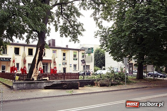 Zdjęcie w galerii na portalu naszraciborz.pl: Powalone drzewa, przerwy w dostawie prądu - skutki nawałnicy wiadomości z regionu