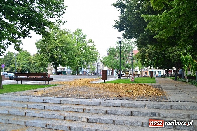 Zdjęcie w galerii na portalu naszraciborz.pl: Powalone drzewa, przerwy w dostawie prądu - skutki nawałnicy wiadomości z regionu