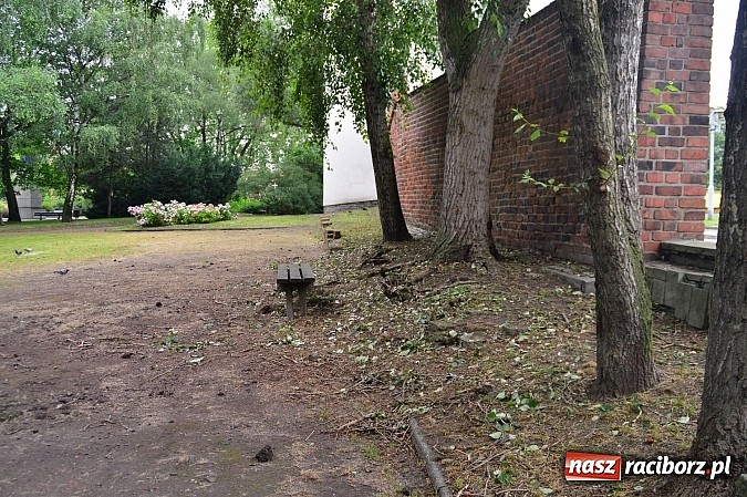 Zdjęcie w galerii na portalu naszraciborz.pl: Powalone drzewa, przerwy w dostawie prądu - skutki nawałnicy wiadomości z regionu