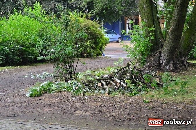 Zdjęcie w galerii na portalu naszraciborz.pl: Powalone drzewa, przerwy w dostawie prądu - skutki nawałnicy wiadomości z regionu