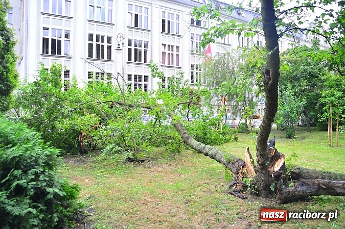 Zdjęcie w galerii na portalu naszraciborz.pl: Powalone drzewa, przerwy w dostawie prądu - skutki nawałnicy wiadomości z regionu