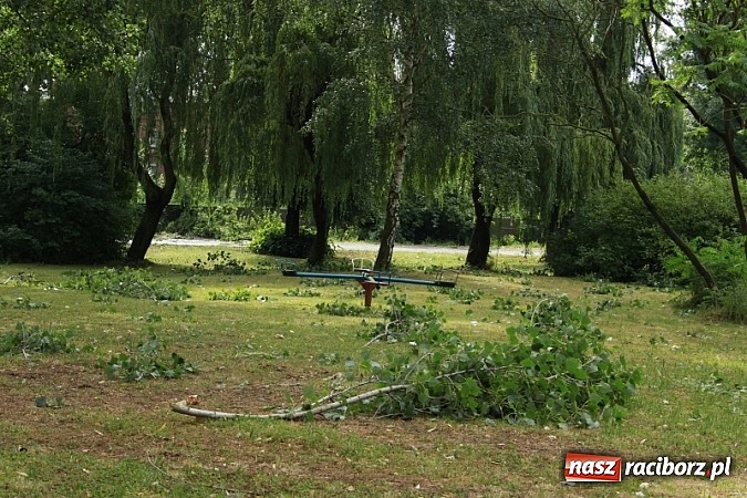 Zdjęcie w galerii na portalu naszraciborz.pl: W Wojnowicach ucierpiał zabytkowy park wiadomości z regionu