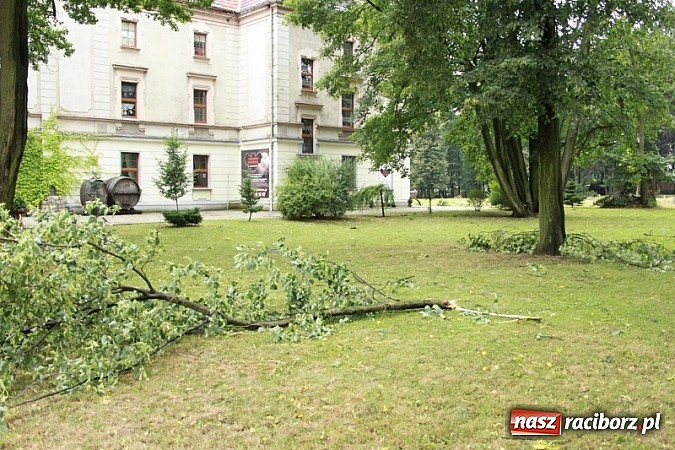 Zdjęcie w galerii na portalu naszraciborz.pl: W Wojnowicach ucierpiał zabytkowy park wiadomości z regionu
