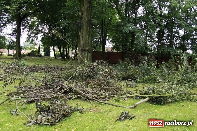 Zdjęcie w galerii na portalu naszraciborz.pl: W Wojnowicach ucierpiał zabytkowy park wiadomości z regionu