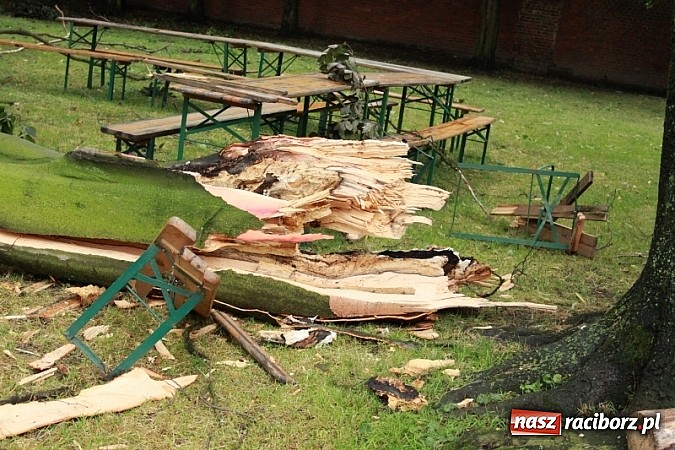 Zdjęcie w galerii na portalu naszraciborz.pl: W Wojnowicach ucierpiał zabytkowy park wiadomości z regionu