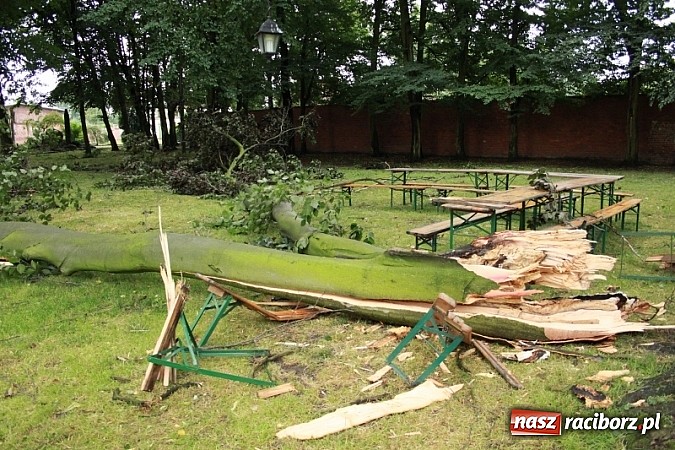 Zdjęcie w galerii na portalu naszraciborz.pl: W Wojnowicach ucierpiał zabytkowy park wiadomości z regionu