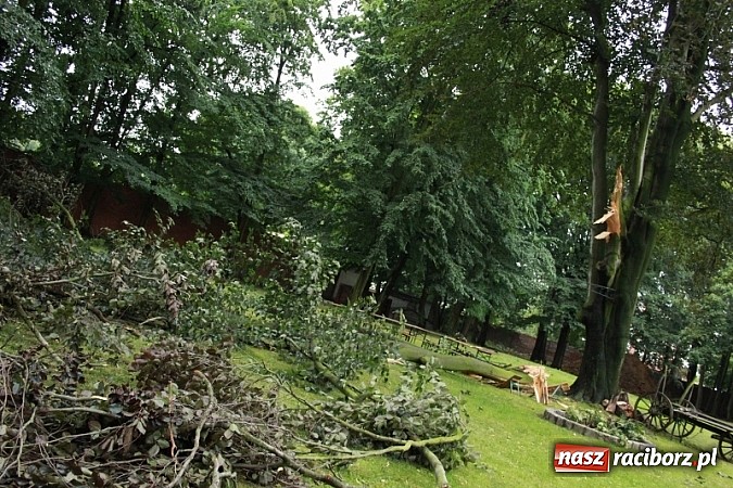 Zdjęcie w galerii na portalu naszraciborz.pl: W Wojnowicach ucierpiał zabytkowy park wiadomości z regionu