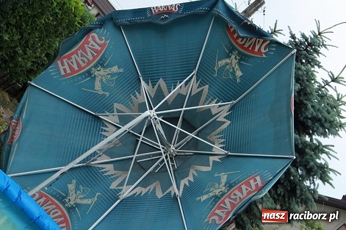 Zdjęcie w galerii na portalu naszraciborz.pl: W Wojnowicach ucierpiał zabytkowy park wiadomości z regionu