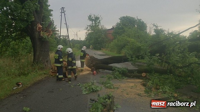 Zdjęcie w galerii na portalu naszraciborz.pl: Skutki porannej nawałnicy w Kuźni Raciborskiej wiadomości z regionu