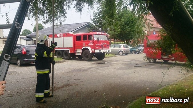 Zdjęcie w galerii na portalu naszraciborz.pl: Skutki porannej nawałnicy w Kuźni Raciborskiej wiadomości z regionu