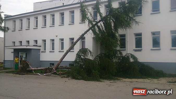 Zdjęcie w galerii na portalu naszraciborz.pl: Skutki porannej nawałnicy w Kuźni Raciborskiej wiadomości z regionu