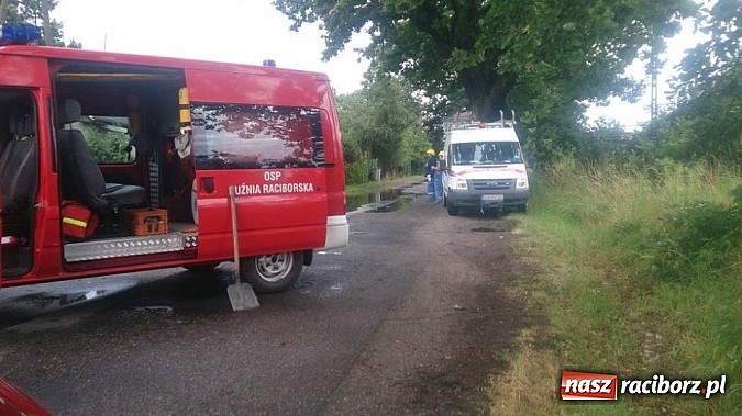 Zdjęcie w galerii na portalu naszraciborz.pl: Skutki porannej nawałnicy w Kuźni Raciborskiej wiadomości z regionu