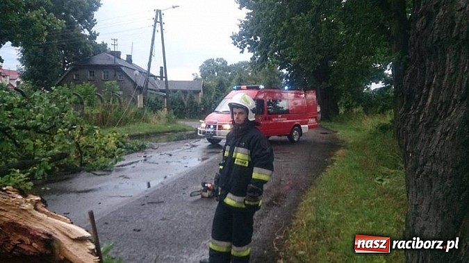 Zdjęcie w galerii na portalu naszraciborz.pl: Skutki porannej nawałnicy w Kuźni Raciborskiej wiadomości z regionu