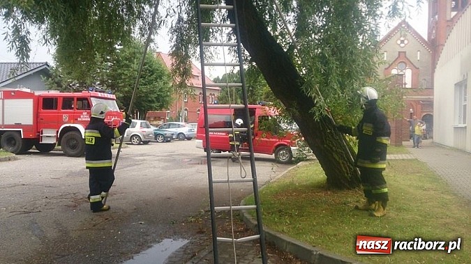 Zdjęcie w galerii na portalu naszraciborz.pl: Skutki porannej nawałnicy w Kuźni Raciborskiej wiadomości z regionu