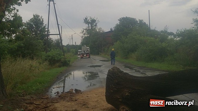 Zdjęcie w galerii na portalu naszraciborz.pl: Skutki porannej nawałnicy w Kuźni Raciborskiej wiadomości z regionu