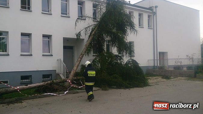 Zdjęcie w galerii na portalu naszraciborz.pl: Skutki porannej nawałnicy w Kuźni Raciborskiej wiadomości z regionu