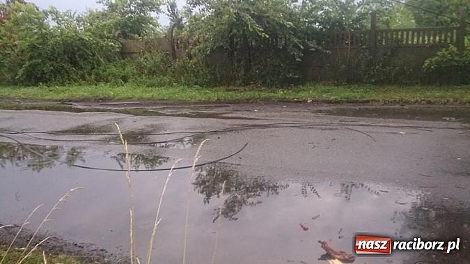 Zdjęcie w galerii na portalu naszraciborz.pl: Skutki porannej nawałnicy w Kuźni Raciborskiej wiadomości z regionu