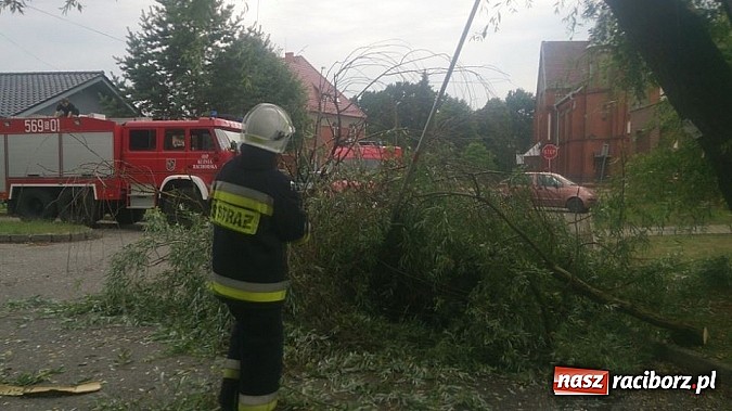 Zdjęcie w galerii na portalu naszraciborz.pl: Skutki porannej nawałnicy w Kuźni Raciborskiej wiadomości z regionu