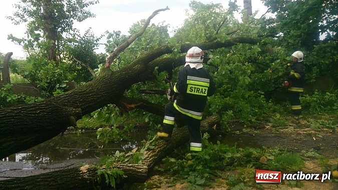 Zdjęcie w galerii na portalu naszraciborz.pl: Skutki porannej nawałnicy w Kuźni Raciborskiej wiadomości z regionu