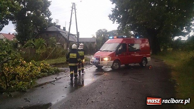Zdjęcie w galerii na portalu naszraciborz.pl: Skutki porannej nawałnicy w Kuźni Raciborskiej wiadomości z regionu