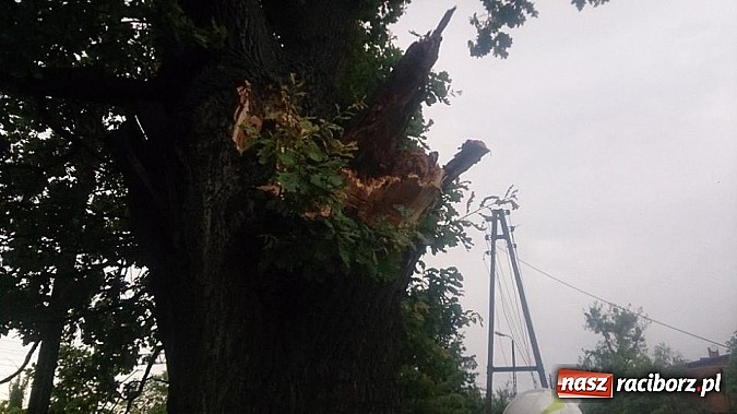 Zdjęcie w galerii na portalu naszraciborz.pl: Skutki porannej nawałnicy w Kuźni Raciborskiej wiadomości z regionu