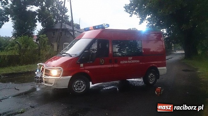 Zdjęcie w galerii na portalu naszraciborz.pl: Skutki porannej nawałnicy w Kuźni Raciborskiej wiadomości z regionu