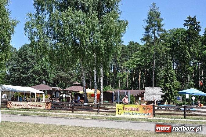 Zdjęcie w galerii na portalu naszraciborz.pl: Wypoczywaj aktywnie z Leśną Polaną w Szymocicach! wiadomości z regionu