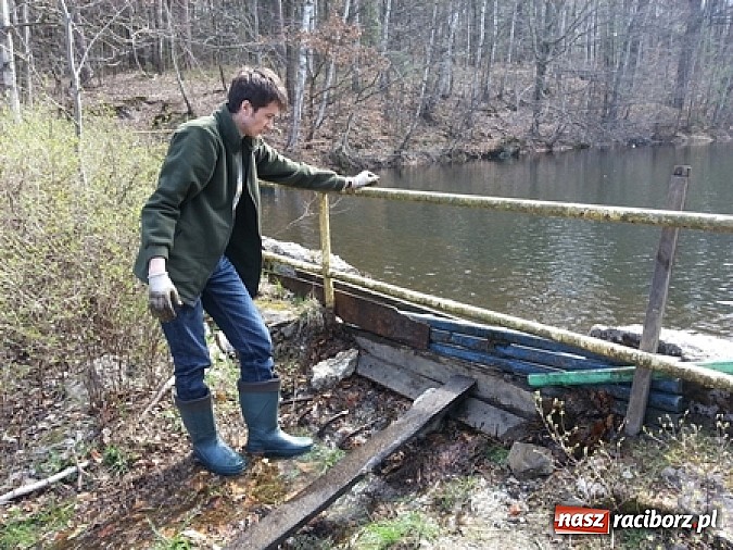 Zdjęcie w galerii na portalu naszraciborz.pl: Program ochrony płaz&oacute;w w ZPKWŚ w Oddziale w Rudach wiadomości z regionu