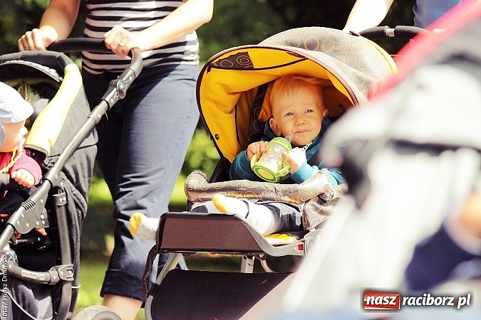 Zdjęcie w galerii na portalu naszraciborz.pl: Zajęcia BuggyGym zawitały do Raciborza! wiadomości z regionu